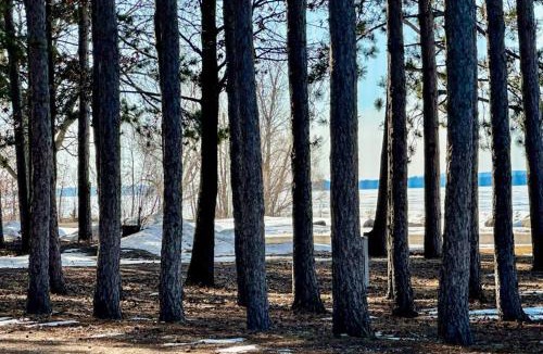 Friendship House | Castle Rock's Serenity Cabin