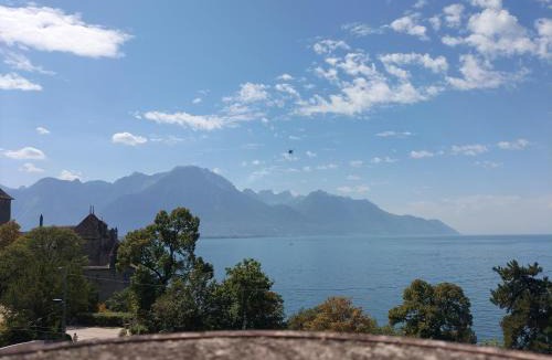 Veytaux Hotel | Castle view by MK