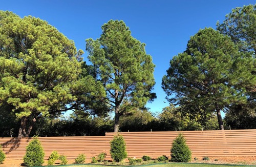 Fayetteville House | Catch a ball game ,ride the trails ,visit breweries, live music on Dickson!