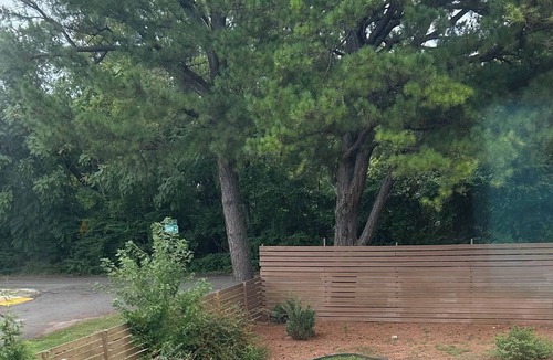 Fayetteville House | Catch a ball game ,ride the trails ,visit breweries, live music on Dickson!