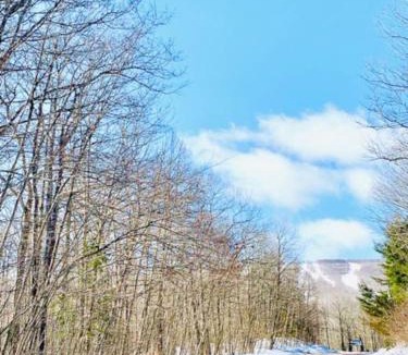 Highmount Apartment | Catskill Cabin Hummingbird Suite 2