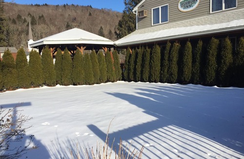 Roscoe Cabin | Catskills Adventures