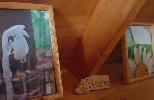 Thompson Ridge Ski Chalet | Catskills Aframe, Water View, Goat Sanctuary