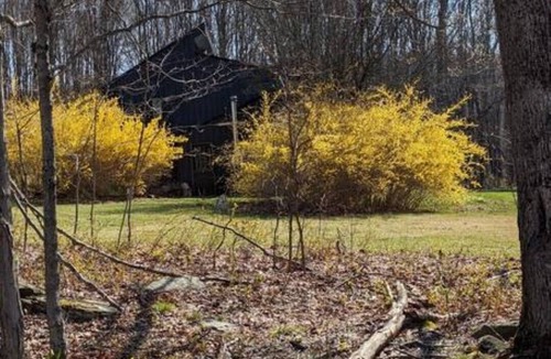 Walton House | Catskills Country Home on 5 acres