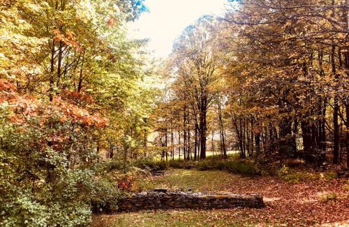 Bloomville House | Catskills Enchanted Forest