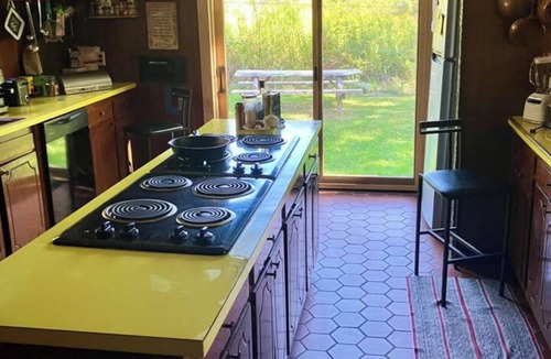 Fleischmanns Ski Chalet | Catskills Pop Art House