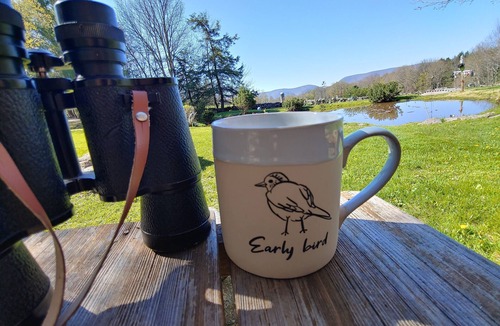 Prattsville Cabin | Catskills Retreat Close to Windham and Hunter Mountain