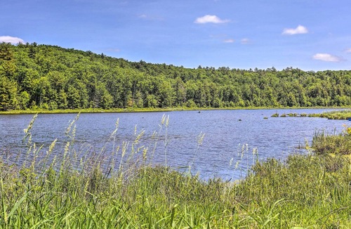 Narrowsburg Cabin | Catskills Sanctuary w/ Lake Access + Hot Tub