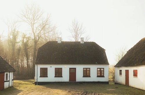 Langeland Municipality House | Cattle and horses at Lundstedet at Skovsgaard