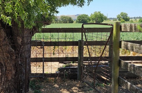 Terang Cabin | Cattle Yard Cabin With a View