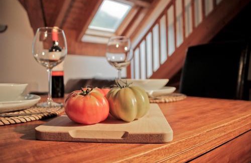 Esterri D'Aneu Apartment | Cau d Aneu Duplex cerca de Bonaigua Baqueira y Aigüestortes