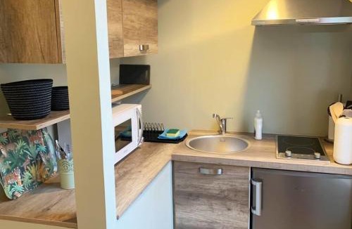 Caudry Apartment | Caudry : Magnifique studio plein centre