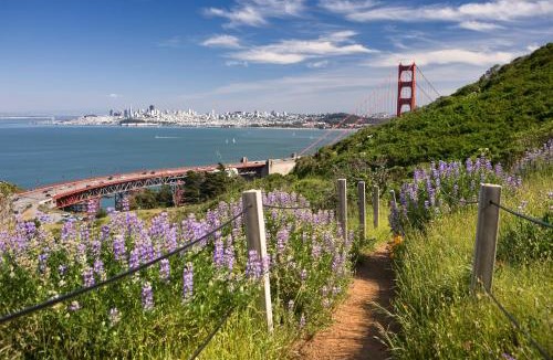 Sausalito Cabin | Cavallo Point