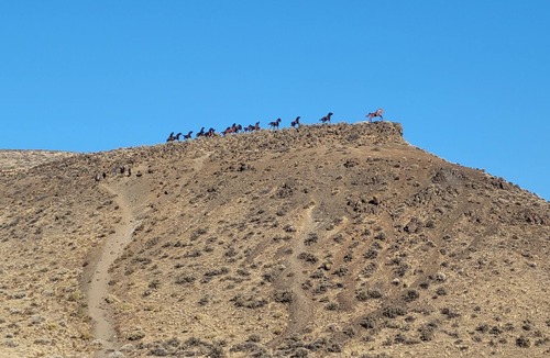 Quincy House | Cave B Ridge - next to Gorge Ampitheatre