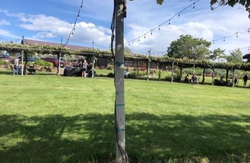 Quincy House | Cave B Ridge River View Retreat 3D - Wine & Relax