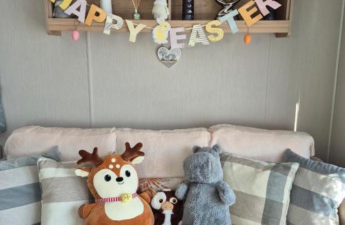 Cayton Bay Other | Cayton Bay Kestrel40