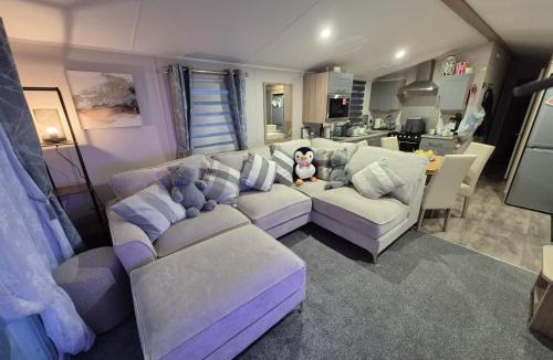 Cayton Bay Other | Cayton Bay Kestrel40