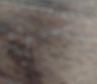 Mauleon-Barousse Apartment | Cazharil