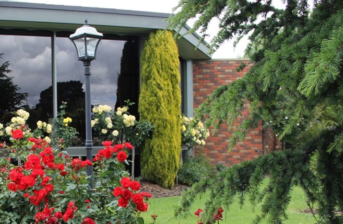 Morwell Hotel | Cedar Lodge Motel Morwell
