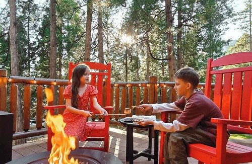 Fern Valley Cabin | Cedar Lodge | Sleeps 10 | Fireplace | Forest Views