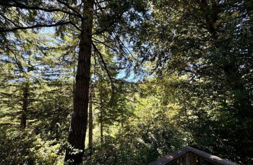 Gold Beach House | Cedar Valley Lodge