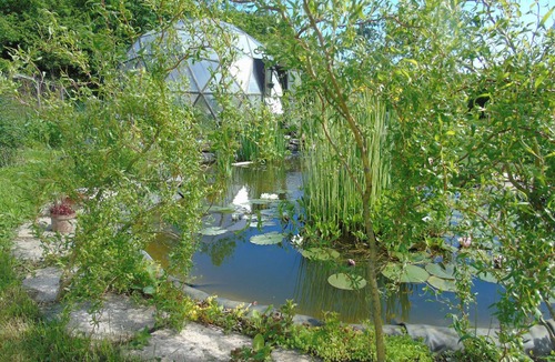 Wassy Cabin | Celestial hanging tent