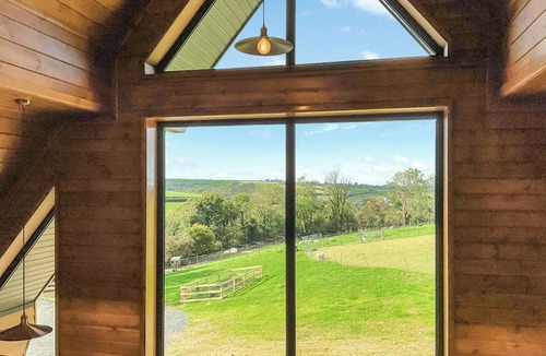 Mydroilin Cottage | Centilen Pedr - Daffodil - UKC7078