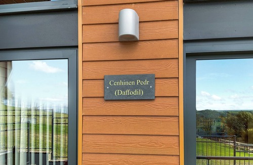Mydroilin Cottage | Centilen Pedr - Daffodil - UKC7078
