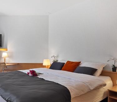 Bassersdorf Hotel | Centra Hotel Zurich