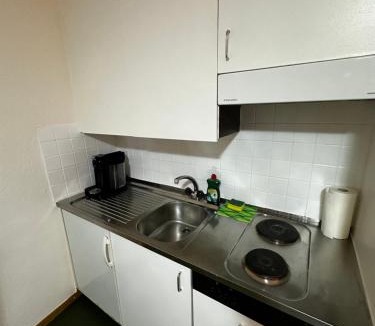 Fribourg Apartment | Central and Chilly by Cathedral