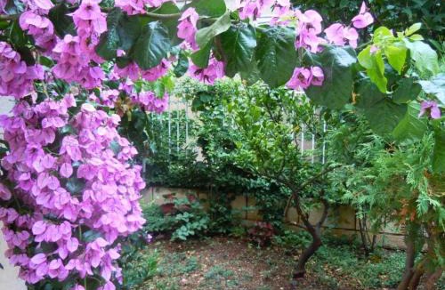 Montovjerna Apartment | Central Apartment Dubrovnik