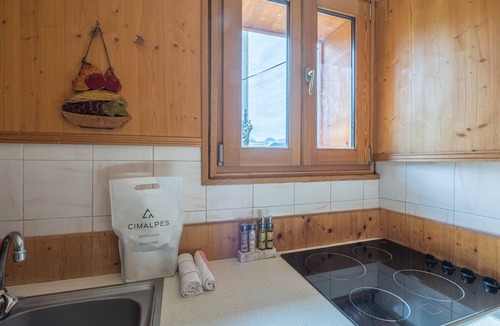 Cognet Apartment | Central apartment, pets allowed, near ski slopes