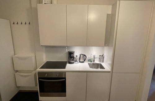 Midtbyen Apartment | Central Apartment with Balcony and Shared Panorama Rooftop