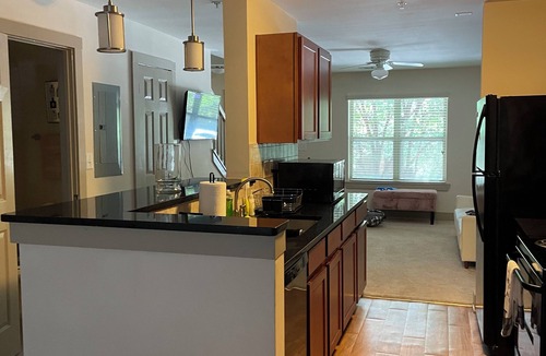 SoNo Apartment | Central Atlanta