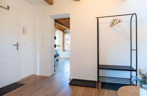 Zweisimmen Apartment | Central City Apartment 2 with Mountain View