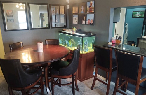 Ruskin House | Central Florida Vacation Stilt Home with pool!
