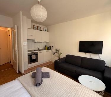 Downtown Geneva Apartment | Central Geneva Studio with free Travel Pass