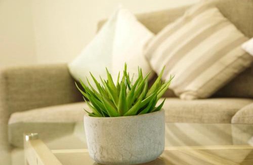 Hamilton Lake Apartment | Central Lake Hamilton