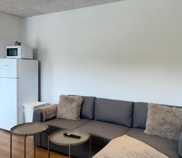 Billund Apartment | Central Living Billund - By Viktorija