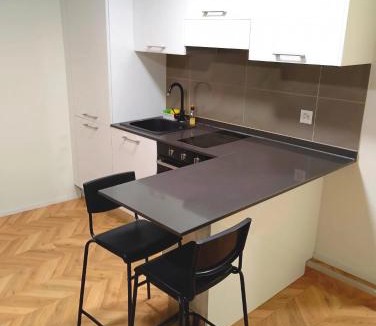 Brugg Apartment | Central Living Brugg - B & W Apartment