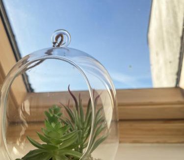 Randers Apartment | Central Luxus Apartment Free Private Parking
