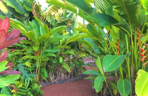 Kailua-Kona House | Central Oceanview Modern Cozy 3 Bed House