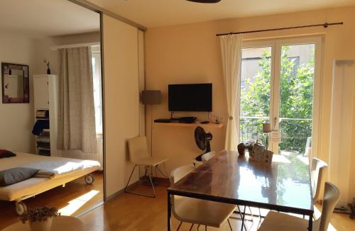 Oerlikon Apartment | Central quiet and cosy apartment near Hallenstadion