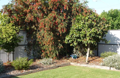 Shepparton South Apartment | Central Shepparton apartment