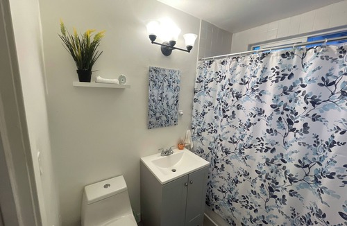 Silver Lake Apartment | Centralized Living in Silverlake - Close To Everything L.A.!