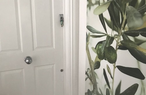 Shaftesbury Apartment | Centrally located Garden Flat