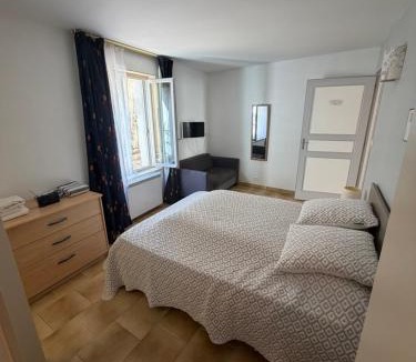 La Roche-Posay Apartment | centre historique T2 RDC