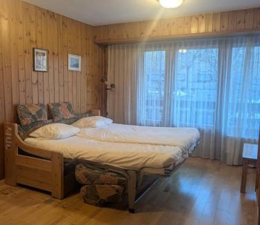 Ovronnaz Apartment | Centre Thermal 2 chambres studio EV110