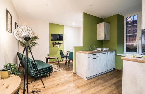Drulingen Apartment | Centre Ville - Le Botanique - Parking