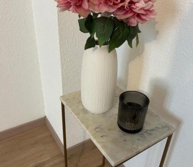 Saumur Apartment | Centre ville T3